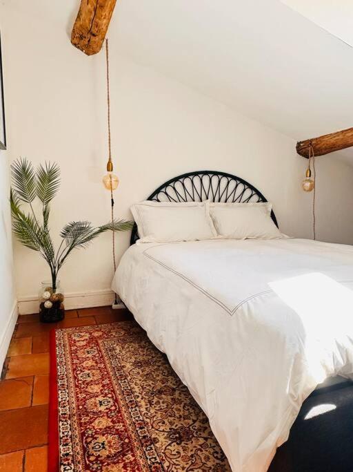 Your Getaway Home In Toulouse Center Extérieur photo